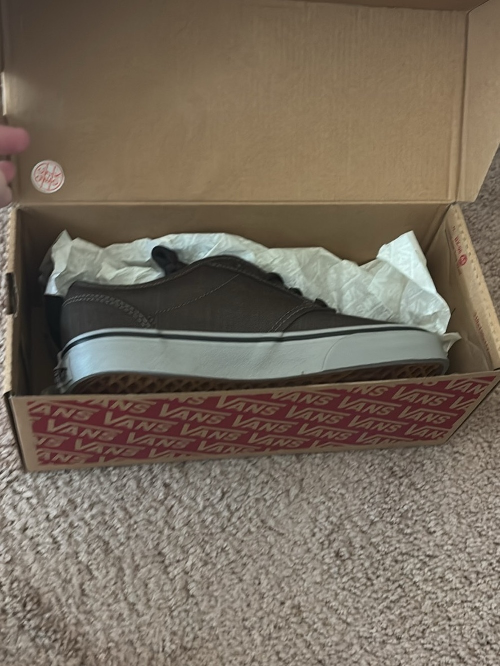Vans Youth Dark Brown Canvas Low-Top Sneakers